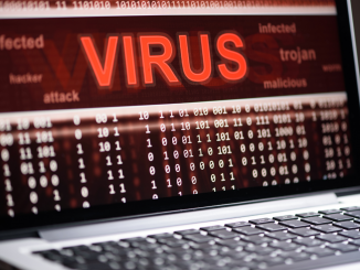 Top 10 Types of Malware that you should be aware of
